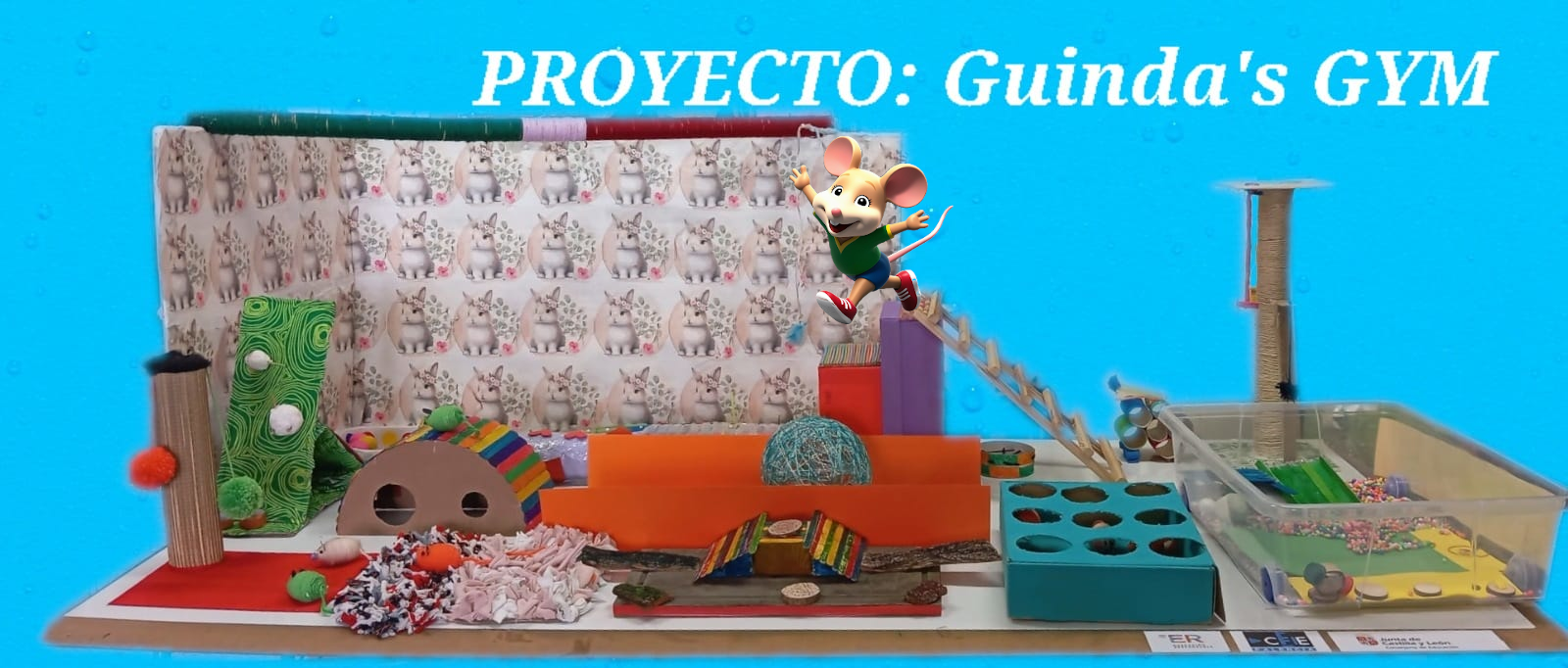 gimnasio pan y guindas